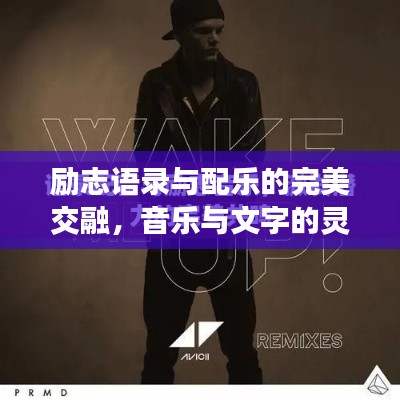 励志语录与配乐的完美交融，音乐与文字的灵感碰撞之美