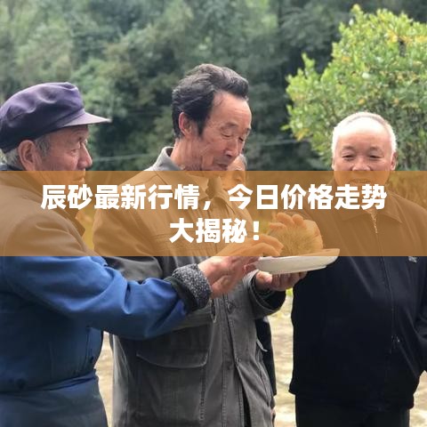 辰砂最新行情，今日价格走势大揭秘！