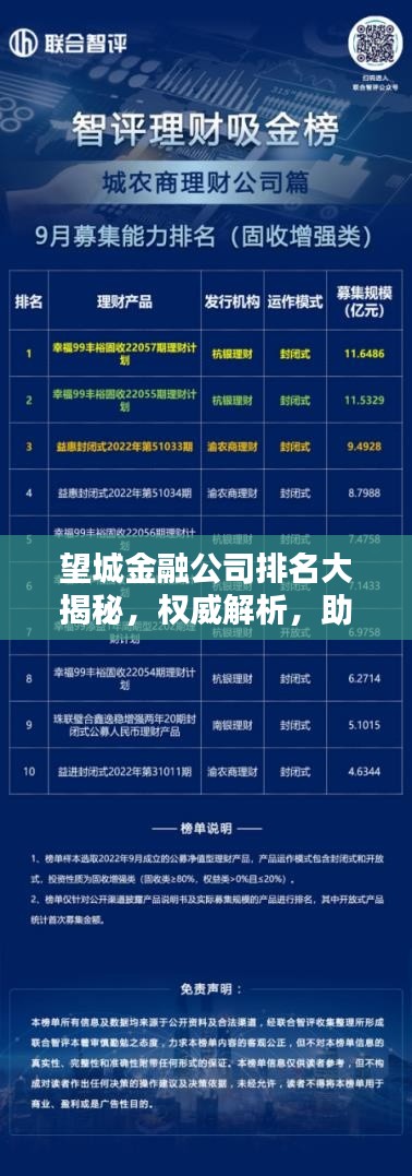 望城金融公司排名大揭秘，权威解析，助你洞悉行业格局！