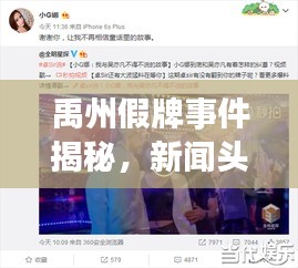 禹州假牌事件揭秘，新闻头条网曝光独家内幕
