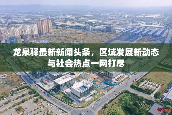龙泉驿最新新闻头条，区域发展新动态与社会热点一网打尽
