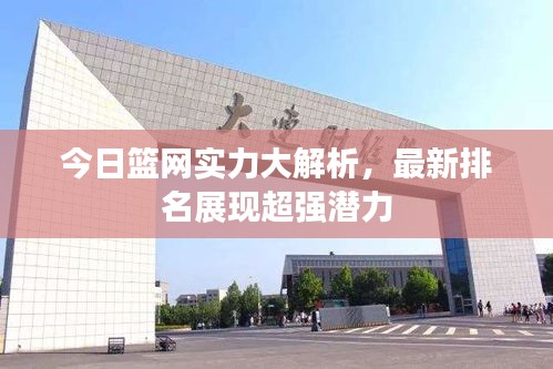 今日篮网实力大解析，最新排名展现超强潜力