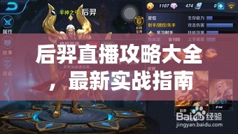 后羿直播攻略大全，最新实战指南