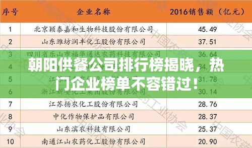 朝阳供餐公司排行榜揭晓，热门企业榜单不容错过！