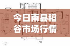 今日南县稻谷市场行情及最新价格分析