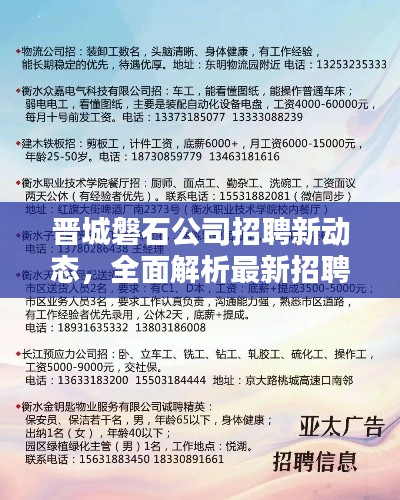 晋城磐石公司招聘新动态，全面解析最新招聘信息