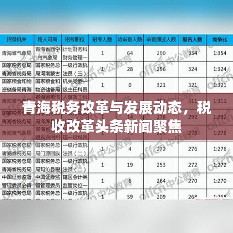 青海税务改革与发展动态，税收改革头条新闻聚焦