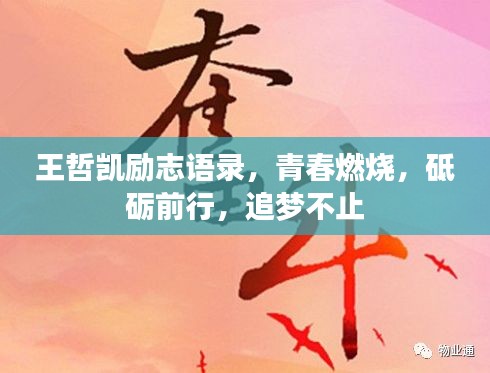 2025年5月27日 第4页