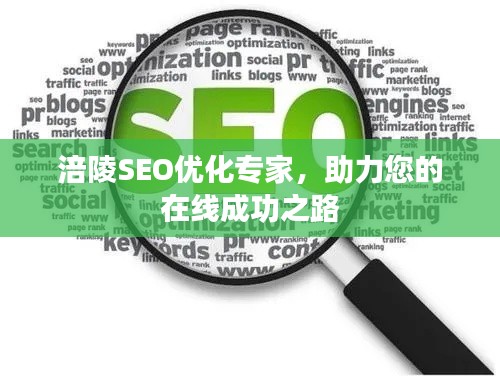 涪陵SEO优化专家，助力您的在线成功之路