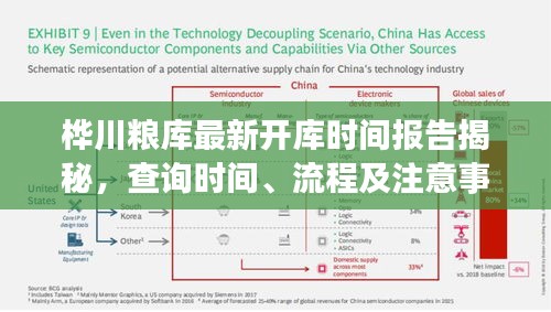 桦川粮库最新开库时间报告揭秘，查询时间、流程及注意事项一网打尽