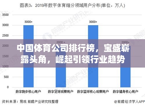 中国体育公司排行榜，宝盛崭露头角，崛起引领行业趋势