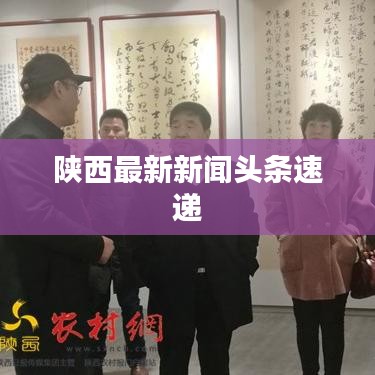 陕西最新新闻头条速递