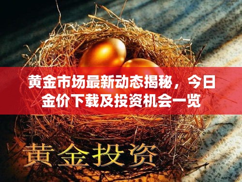 黄金市场最新动态揭秘，今日金价下载及投资机会一览