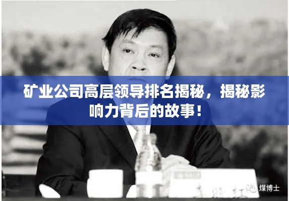 矿业公司高层领导排名揭秘，揭秘影响力背后的故事！