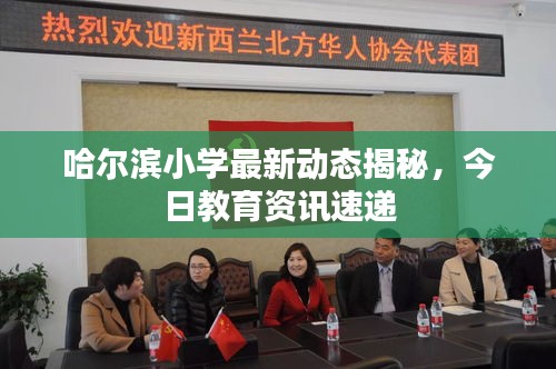 哈尔滨小学最新动态揭秘，今日教育资讯速递