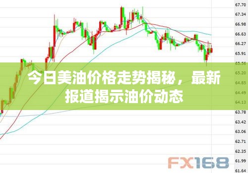 今日美油价格走势揭秘，最新报道揭示油价动态