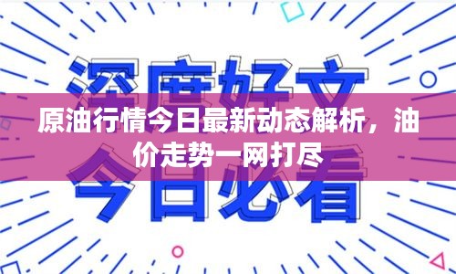 原油行情今日最新动态解析，油价走势一网打尽