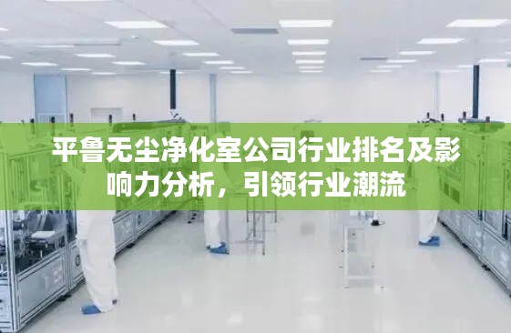 平鲁无尘净化室公司行业排名及影响力分析，引领行业潮流
