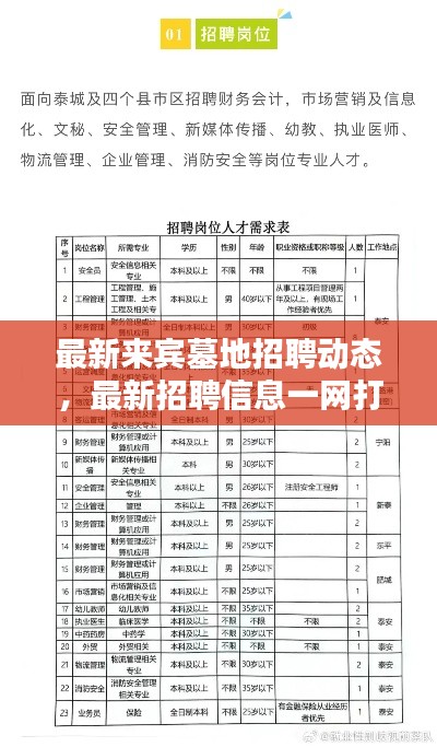 最新来宾墓地招聘动态，最新招聘信息一网打尽