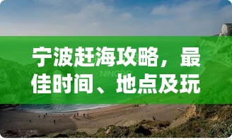 宁波赶海攻略，最佳时间、地点及玩法全解析！