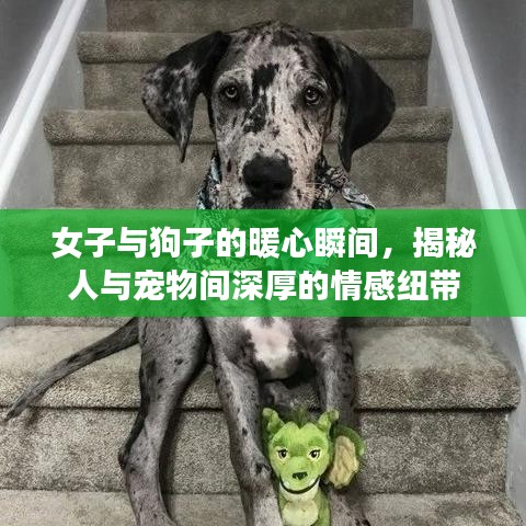女子与狗子的暖心瞬间，揭秘人与宠物间深厚的情感纽带