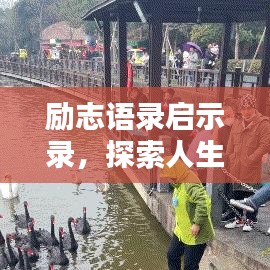 励志语录启示录，探索人生无限可能，激发无限潜能