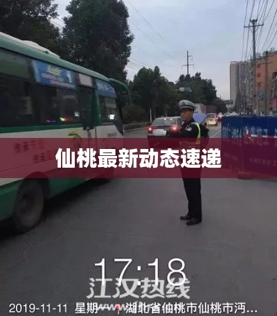 仙桃最新动态速递