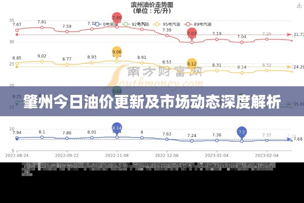 肇州今日油价更新及市场动态深度解析