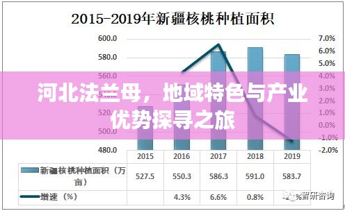 河北法兰母，地域特色与产业优势探寻之旅