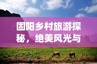 固阳乡村旅游探秘，绝美风光与地道体验全攻略