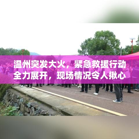 温州突发大火，紧急救援行动全力展开，现场情况令人揪心