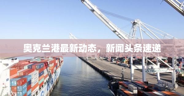 奥克兰港最新动态，新闻头条速递
