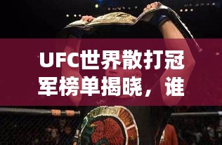 UFC世界散打冠军榜单揭晓，谁领风骚？
