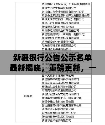 新疆银行公告公示名单最新揭晓，重磅更新，一览无余