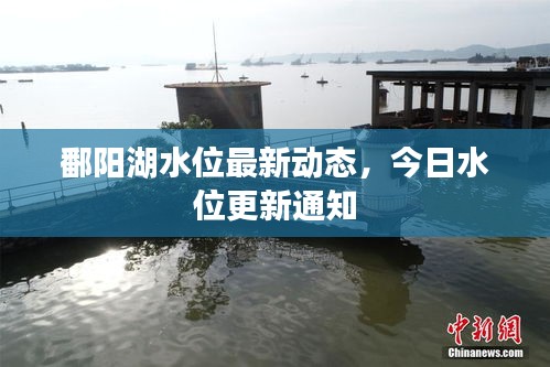 鄱阳湖水位最新动态，今日水位更新通知