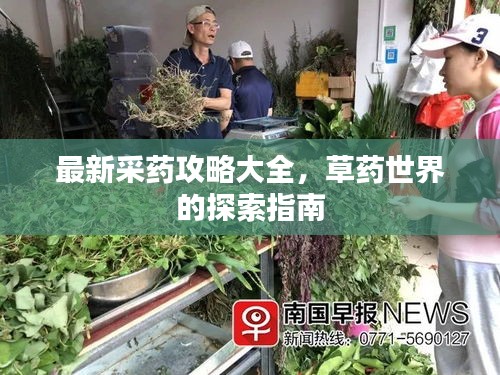 最新采药攻略大全，草药世界的探索指南