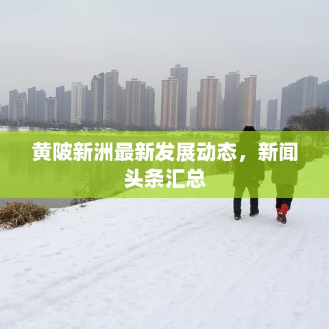 黄陂新洲最新发展动态，新闻头条汇总