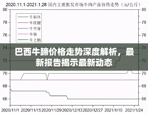 巴西牛蹄价格走势深度解析，最新报告揭示最新动态