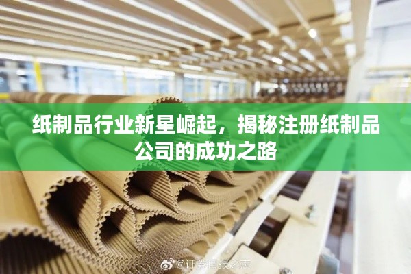 纸制品行业新星崛起，揭秘注册纸制品公司的成功之路