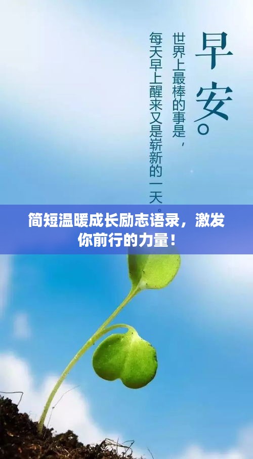 简短温暖成长励志语录，激发你前行的力量！