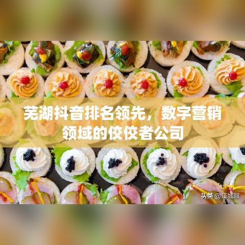 芜湖抖音排名领先，数字营销领域的佼佼者公司