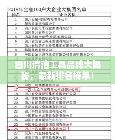 四川清洁工具品牌大揭秘，最新排名榜单！