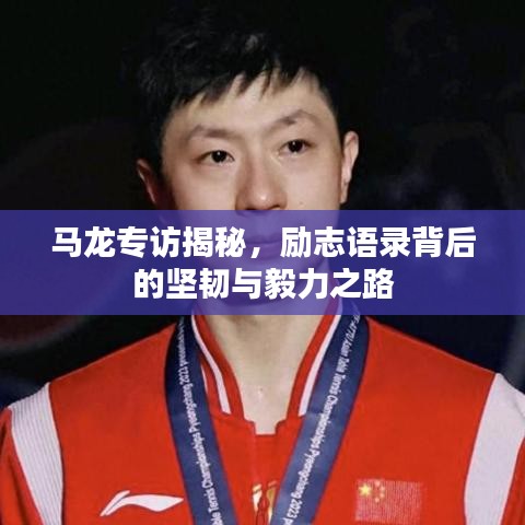 马龙专访揭秘，励志语录背后的坚韧与毅力之路
