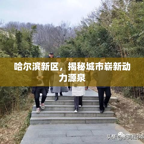 哈尔滨新区，揭秘城市崭新动力源泉