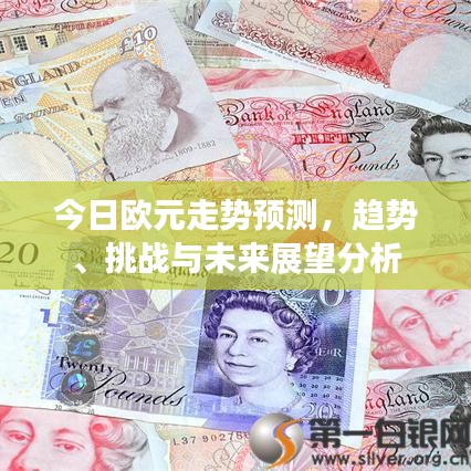 今日欧元走势预测，趋势、挑战与未来展望分析
