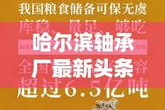 哈尔滨轴承厂最新头条新闻独家揭秘