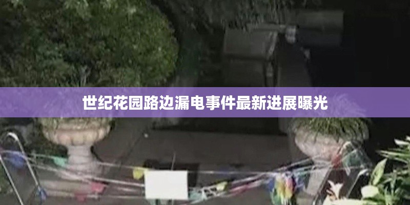 世纪花园路边漏电事件最新进展曝光