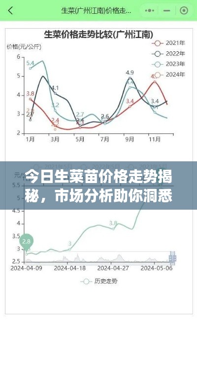 今日生菜苗价格走势揭秘，市场分析助你洞悉行情！