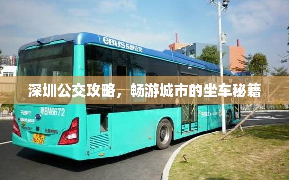 深圳公交攻略，畅游城市的坐车秘籍