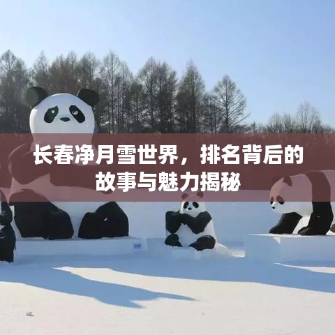 长春净月雪世界，排名背后的故事与魅力揭秘